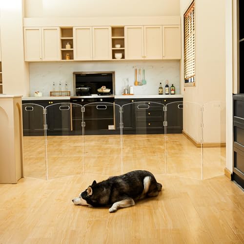Modern Frame Clear Acrylic Freestanding Dog Gate (32" Height-6 Panel)