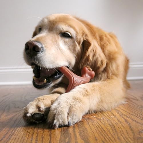 Strong Chew Wishbone Dog Toy (Wishbone / Large)