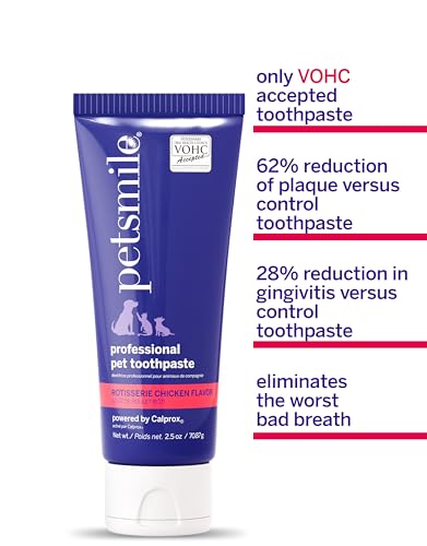 Teeth Brushing Kit (2.5 Ounce (Pack of 1))
