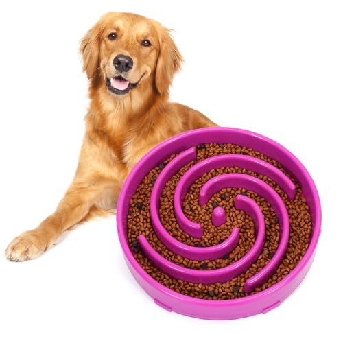 Slow Feeder Large Dog Bowl (Large / G-purple)