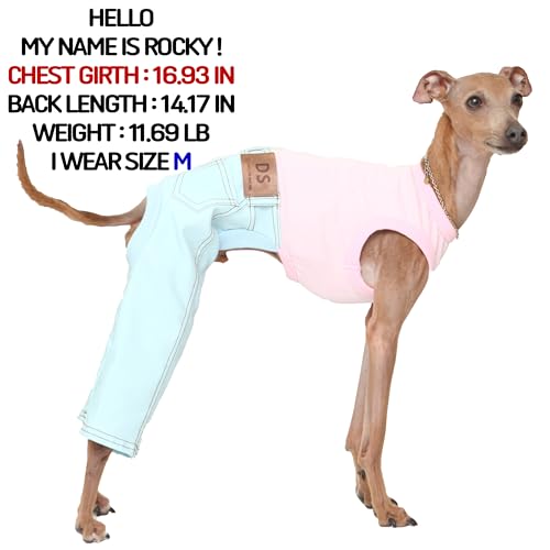 D Doggy Star Italian Greyhound Clothes Sleeveless Jeans Onesie Outfit Whippet for Dog Coat (2XL / Sky Blue Jean)