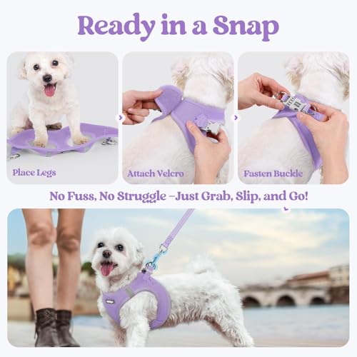 Dog Harness Medium Sized and Leash Set (Light Purple / L (chest: 18.2 - 20.5"))