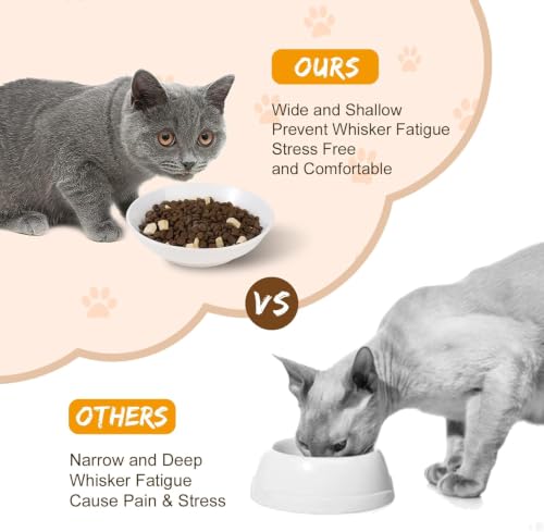 Ceramic Cat Dishes for Food (White)