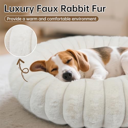Donut Small Dog Bed Round Calming Kitten & Puppy Bed (White / XS(20*20*6))