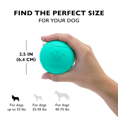 Fetch Balls Extremely Durable Natural Rubber Toy 2.5 inch (8-Pack (2.5" Balls) - Blue, Green, Purple)