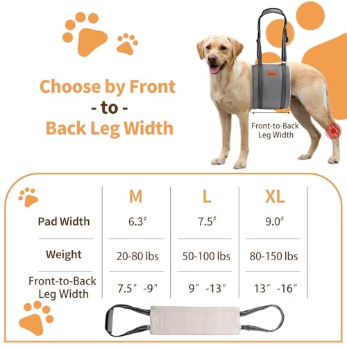 Dog Lift Harness for Large Dogs (X-Large (Pack of 1) / Grey)