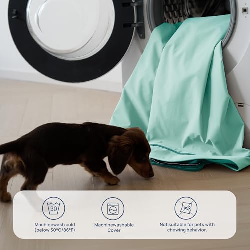 Cooling Dog Bed for Large Dogs (Light Aqua / 36''x27''x3'')