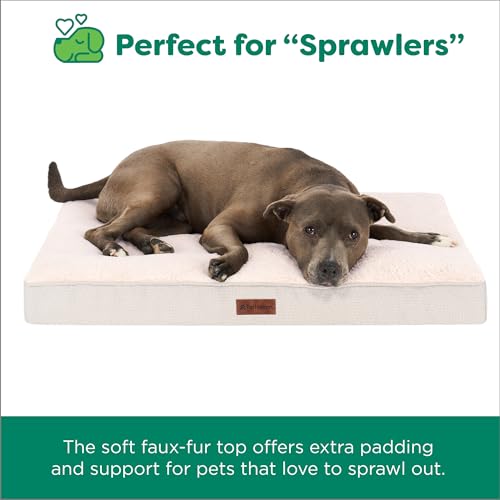 Orthopedic Dog Bed (Jumbo / Wheat)