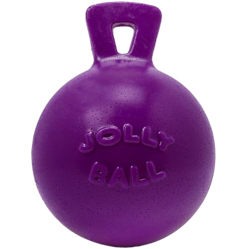 Tug-n-Toss Heavy Duty Dog Toy Ball with Handle, 6 Inches/Medium, Purple (Purple / Medium (6 in))