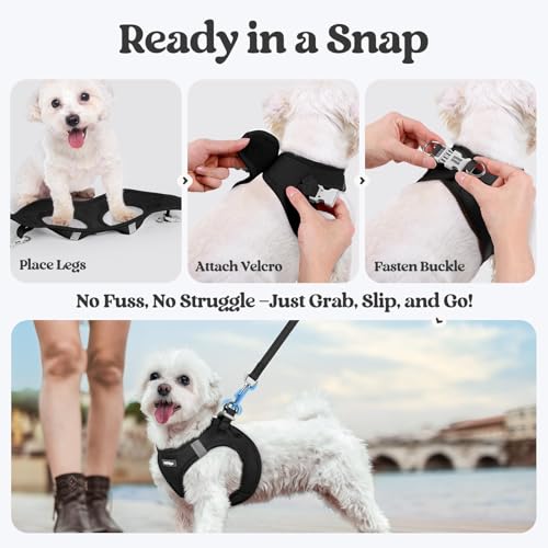 Dog Harness Small Sized and Leash Set (Black / Xs (chest: 13.3 - 15.5"))