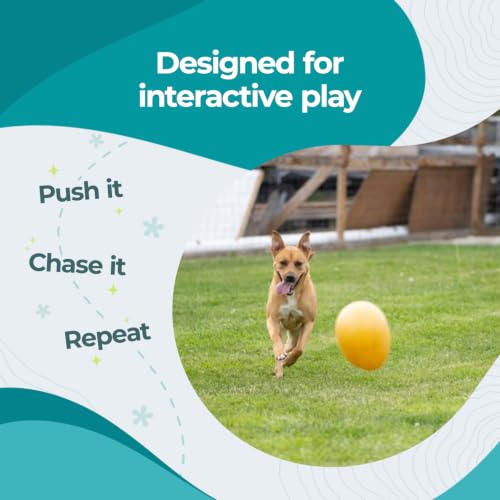 Jolly Egg Herding Dog Toy (Large (12 in) / Yellow)