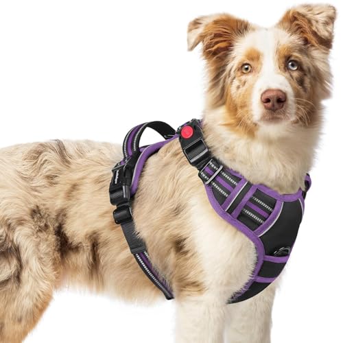 Dog Harness Medium Sized (Medium / Black & Purple)