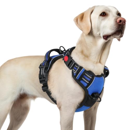 Dog Harness for Large (Large / Blue)