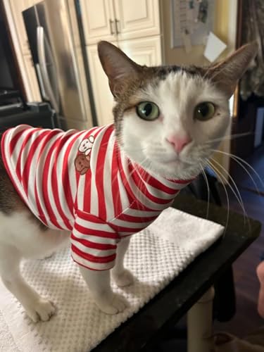 Turtleneck Dog Shirt Cute Doggie Embroidery Super Soft Dog Sweatshirt Stretchy Striped Puppy Pullover for Cats Small Medium Large Dogs (Red Striped / Large)