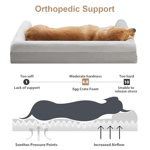 Orthopedic Washable Large Dog Bed for Senior Dog Comfy Sleep (36"l x 27"w x 6.5"th / Light Grey)