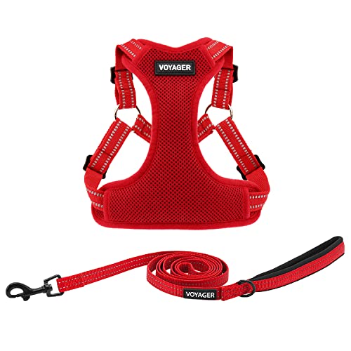 Voyager Adjustable Step (Harness Leash Set (Red) / XL)