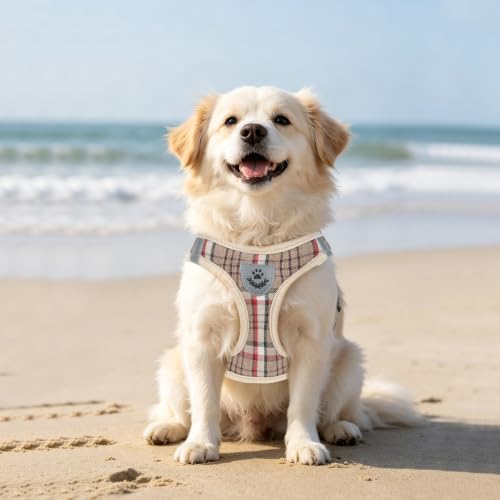 Dog Harness Collar and Leash Set No Pull for Small Medium Sized (Khaki / M (CHEST 16"-18"))