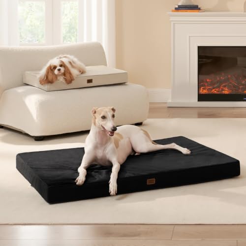 Washable Dog Crate Bed for Medium Dogs (Black / 30*20*3 Inches)