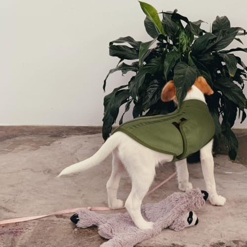 Cat Sweater Soft Fleece Dog Vest Warm Dog Jacket with Leash Hole (Army Green / XX-Small)