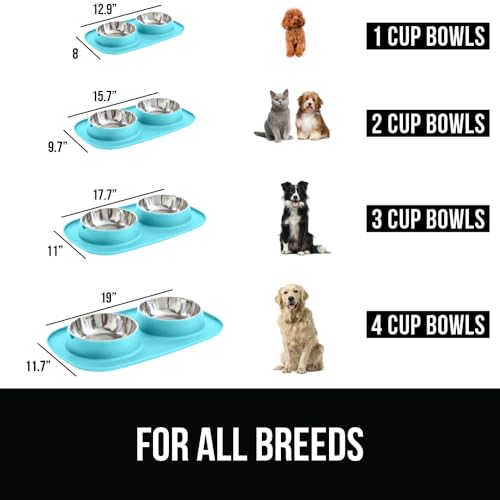 Dog Bowl with Feeding Mat (Turquoise / 1 Cup Bowls)
