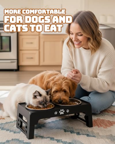 Elevated Dog Bowls for Small Dogs and Cats (for Small Dogs and Cats 2 Basic Bowls / Black)