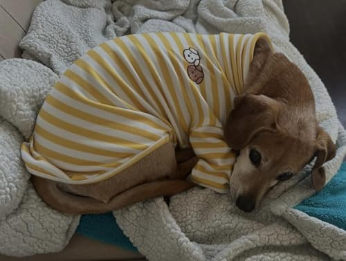 Turtleneck Dog Shirt Cute Doggie Embroidery Super Soft Dog Sweatshirt Stretchy Striped Puppy Pullover for Cats Small Medium Large Dogs (Yellow Striped / 6X-Large)