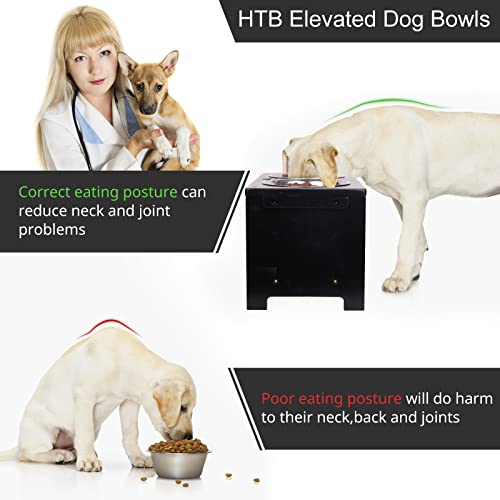 Elevated Dog Bowl Stand with 2 Stainless Steel Bowls (large-10"tall,48 Oz bowl / Black)