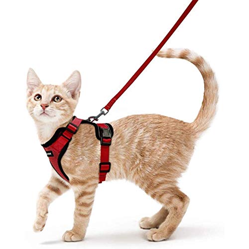 Cat Harness and Leash Set (S / Red)