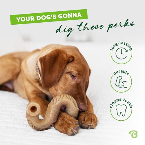Tiny 2 Pack Tripe Bone Durable Dog Chew Toy for Aggressive Chewers (REAL Beef / Tiny 2-Pack)