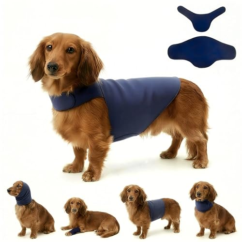 Dog & Cat Surgery Recovery Suit and Anxiety Wrap (M / Dark Blue)