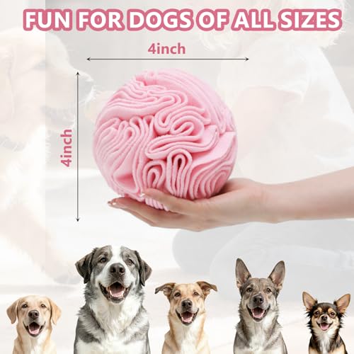 Snuffle Ball for Dogs (Light Red / Small)