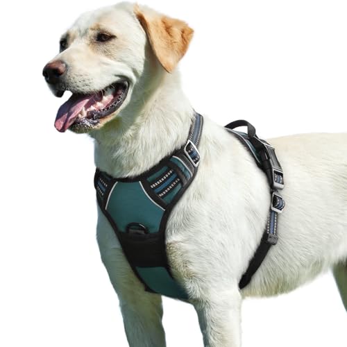 Dog Harness for Large Dogs (Large / Dark Green)