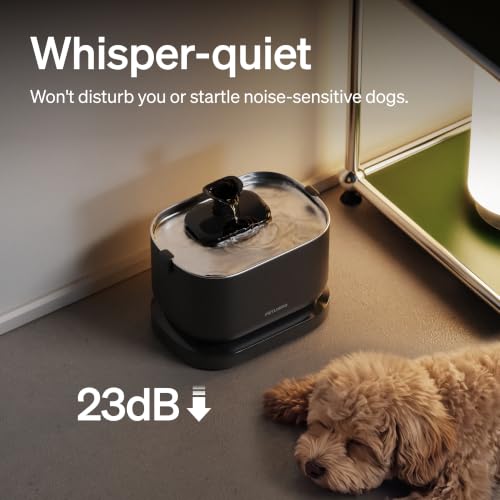 Small Dog Water Fountain (Black / 2.5 L)