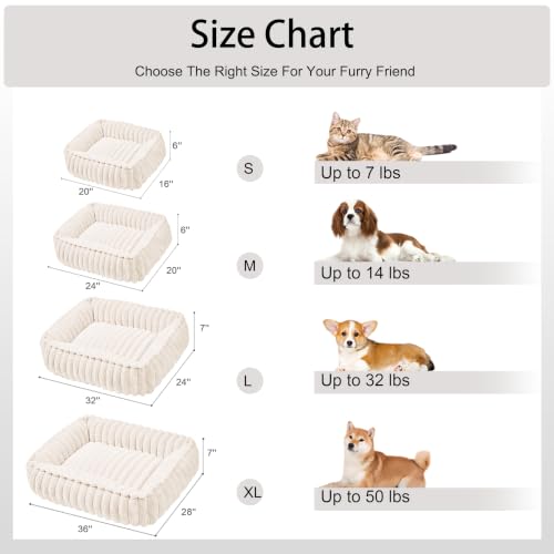Medium Dog Bed Calming Cat Bed for Indoor Cats 24’’x20’’ Ivory (Ivory / 24"L x 20"W x 6"Th)