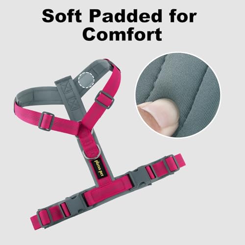 No Pull Dog Harness (L / Hot Pink)