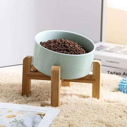 Raised Elevated 15°Slanted Ceramic Dog Bowl for Small Breeds (Blue Sky / 1.7 CUPS - Puppy/Small Dogs & Cat Bowls)
