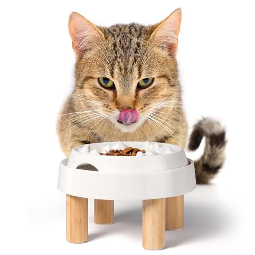 Whisker Friendly Slow Feeder Cat Bowl for Healthy Digestion (Slow Feeder / Marshmallow)