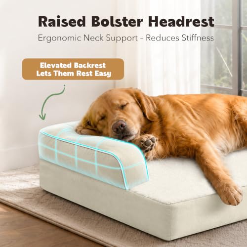 Orthopedic XL Dog Bed with Bolster for Extra Large Size Dogs (42.0"L x 30.0"W x 8.0"Th / Beige)