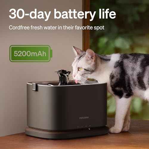 Cat Water Fountain Stainless Steel Tray (Black / Fountain)