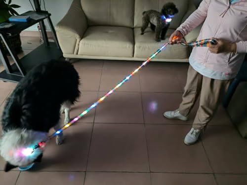 Light up Dog Leash USB Rechargeable for Small Medium Large Dogs (Bohemian purple / L59in/W1in)
