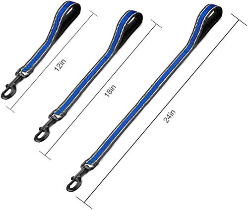 Short Dog Leash (Wide-Blue-new)