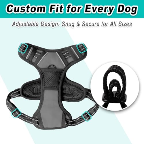Dog Harness for Small Sized Dog No Pull 2 Leash Clips Dog Vest (X-Small / Dark Grey)