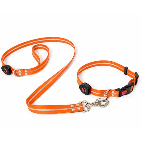 LED Dog Collar & 4 Foot Leash (Orange)