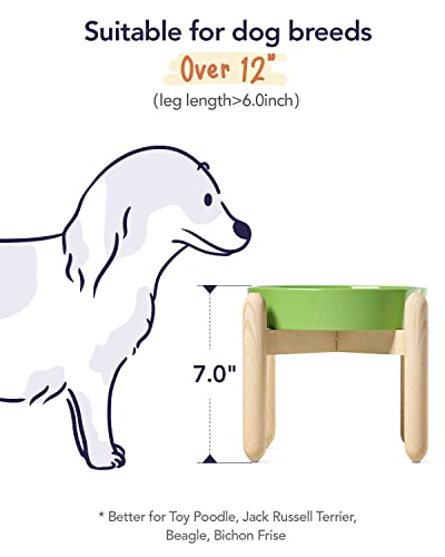 Ceramic Slow Feeder Dog Bowls Elevated for Small and Medium Breed (Clover Green+Stand / M-1.5 Cups)