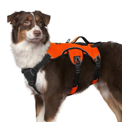 Escape Proof Dog Harness for Medium (Orange / Medium)