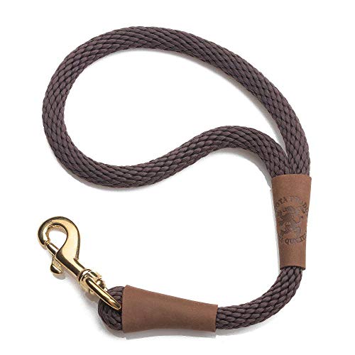Traffic Leash (1/2 in x 16 in / Brown)
