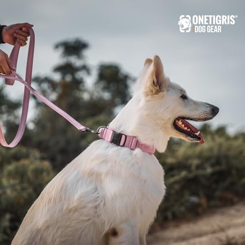 No Pull Dog Leash with Handle for Medium Large Dogs (Pink / 4FT)