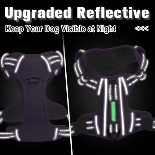 No Pull Dog Harness for Small Sized Dogs (X-Small(Chest:15.5-19.5”) / Violet Purple-Oxford)