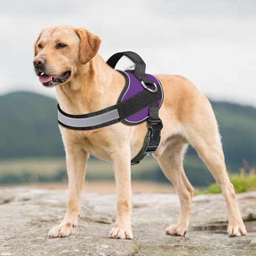 Essential Dog Harness (XL / Purple)