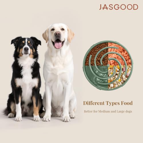 Slow Feeder Dogs Bowl for Large Medium Dogs (Large / Sage Green)